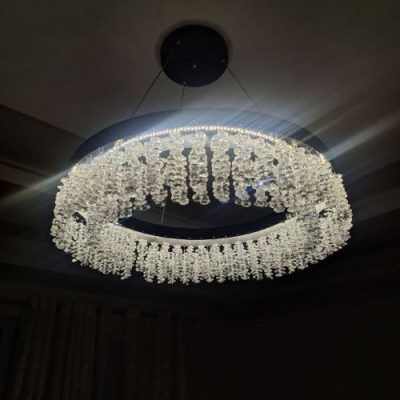 لوستر شاخه نبات کد 109
